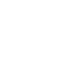 Logo white